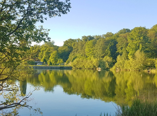 Histoire de l'Etang d'Ursine entre Chaville et Vélizy
