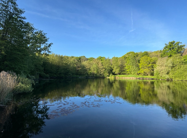 Histoire de l'Etang des Ecrevisses à Vélizy bas